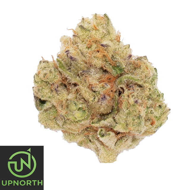 UpNorth: Strawberry Cough