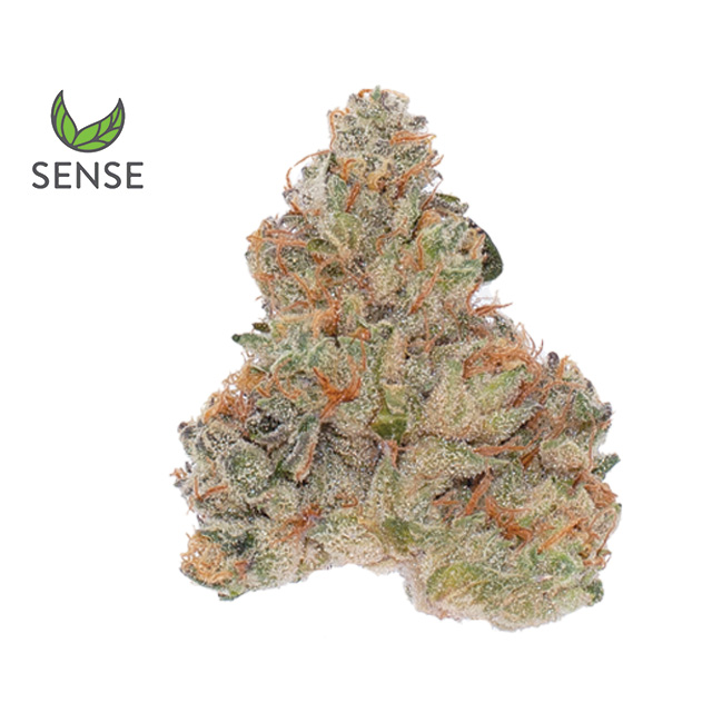 Sense — GMO