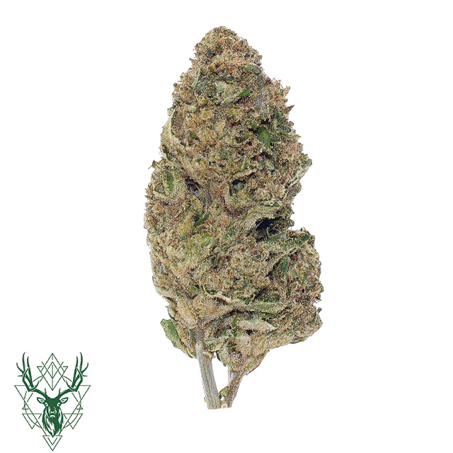 ELKHORN RANCH — Amore De Uva