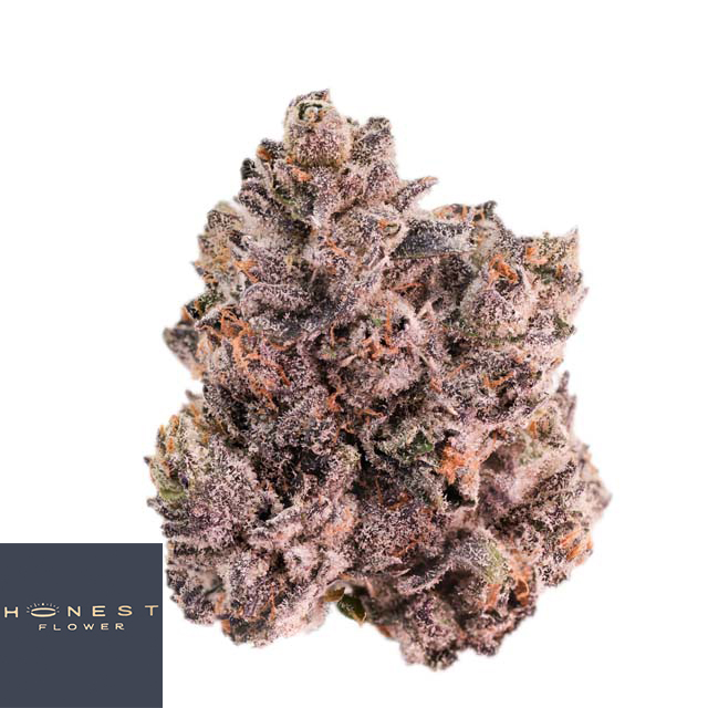 Honest Flower: DONACHELLO - 14 G
