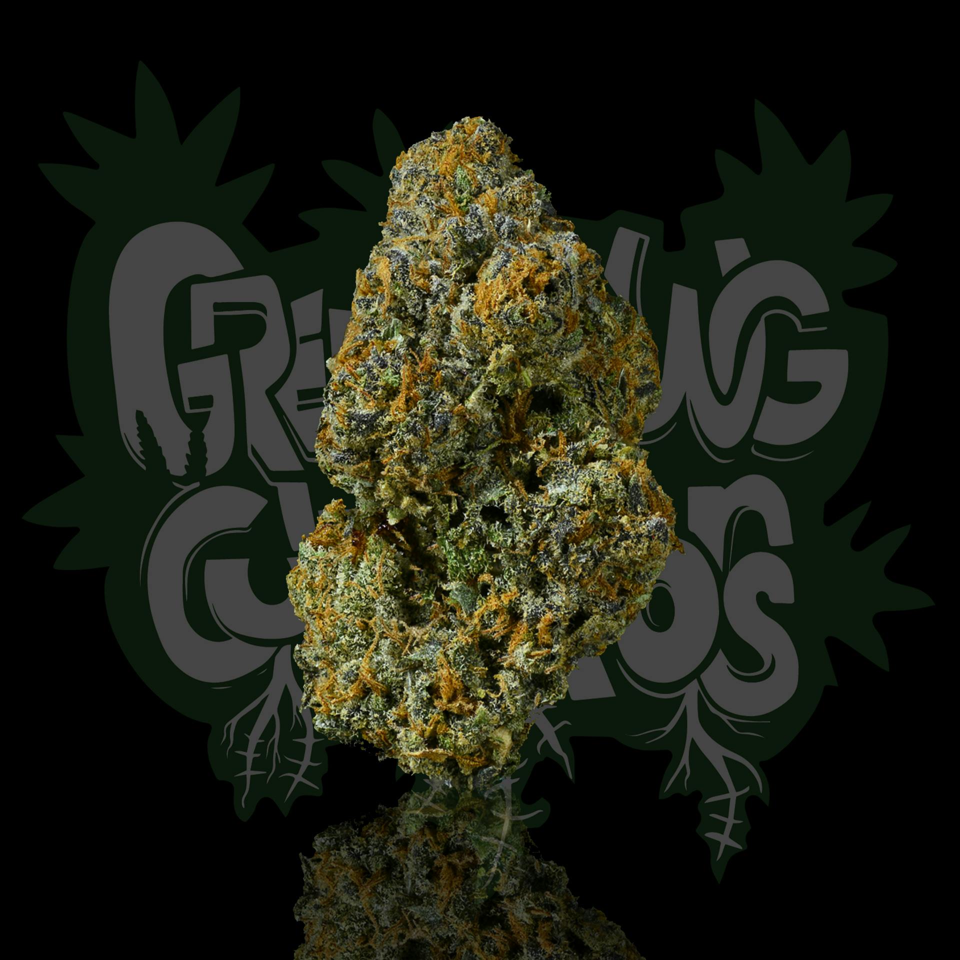 Green Dawg: Gelonade