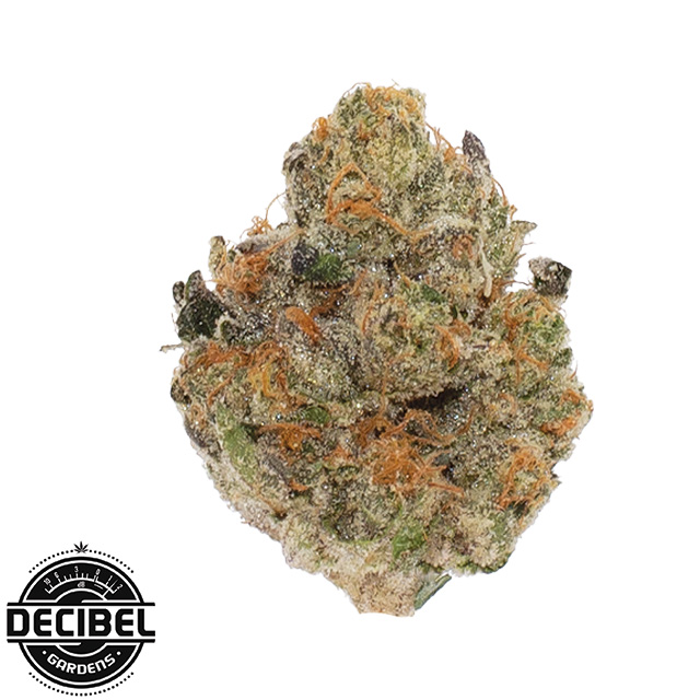 Decibel OG - 3.5 g