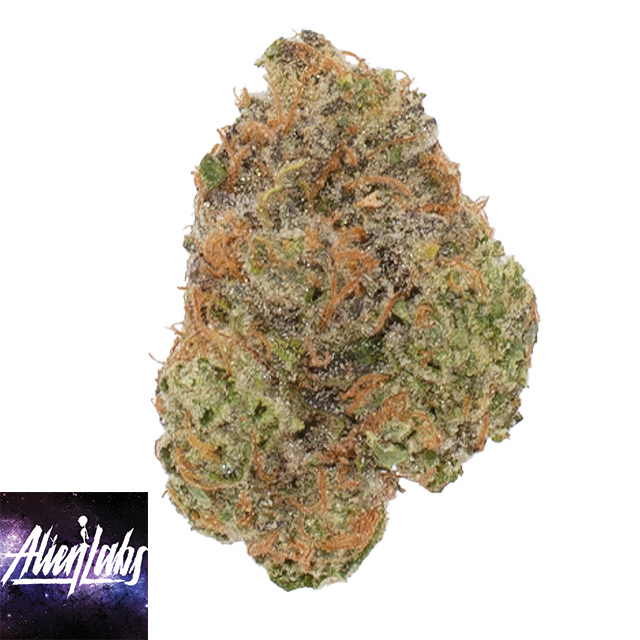 Alien Labs: Brain Wash