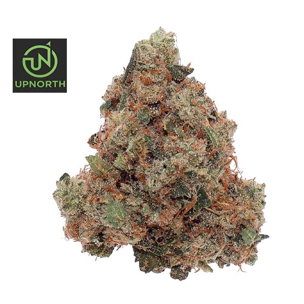 UpNorth: Durban Poison