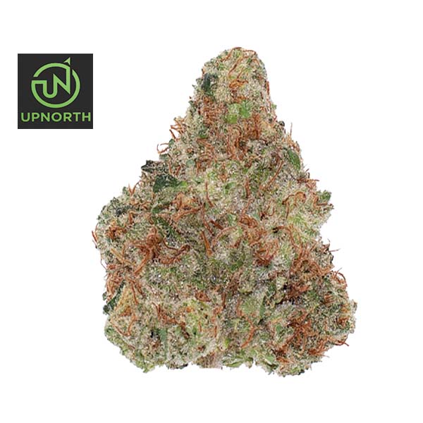UpNorth: Trainwreck