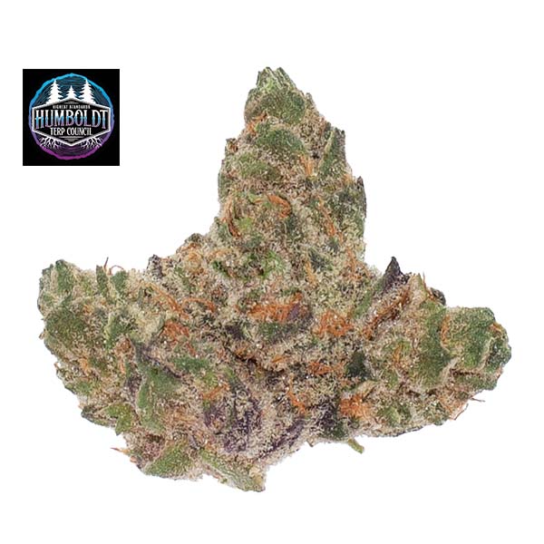 GIRL SCOUT COOKIES 3.5G