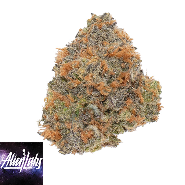 Zpectrum - 3.5 g