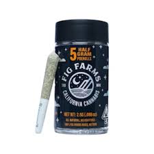 Fig Farms — Couch Rider
