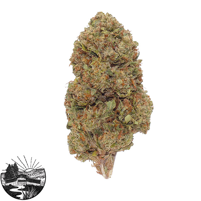 Origin Craft Cannabis — Bacio Gelato