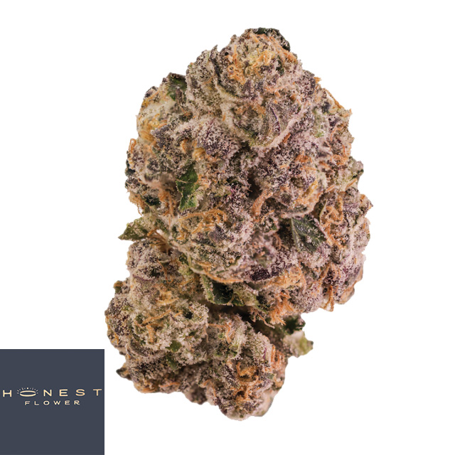 Honest Flower: VERSACE - 14 G