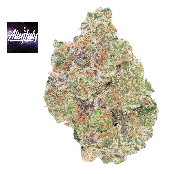 Alien Labs: Atomic Apple