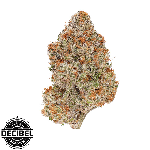 Decibel Gardens — Grape Punch