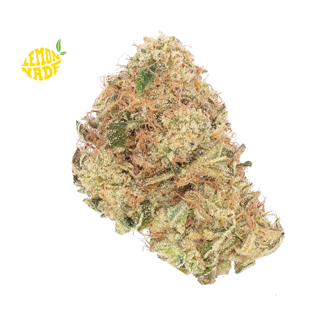 MEDELLIN 3.5G - 3.5 GRAMS