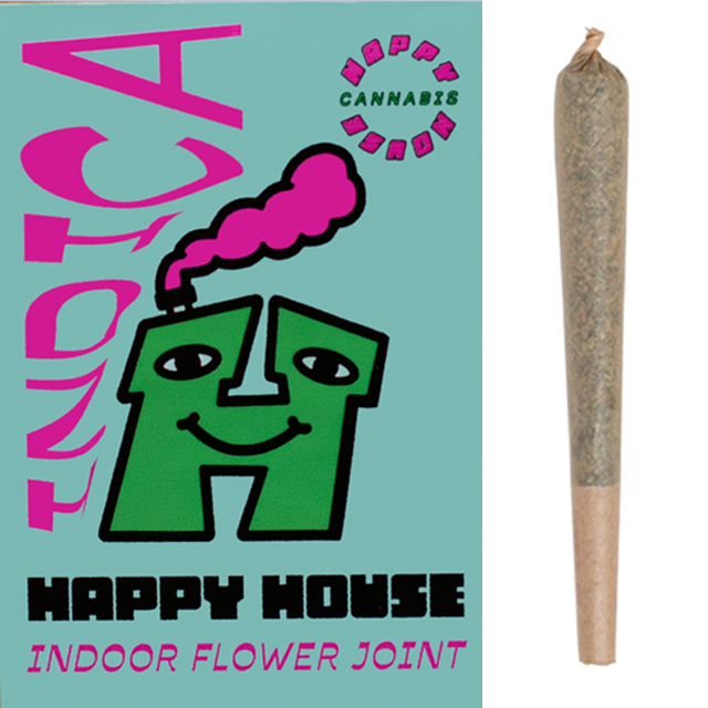 INDICA 1G - 1 Pack