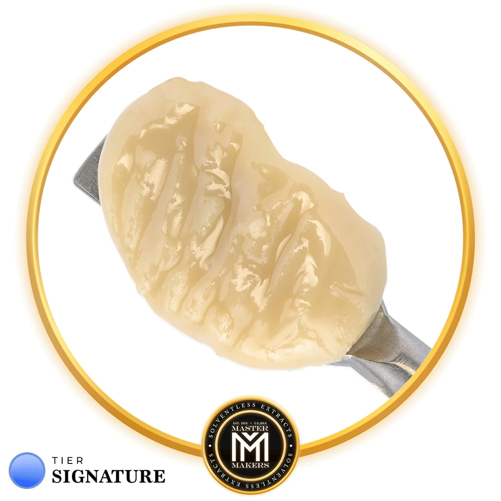 Master Makers: Motor Breath X Banana Punch Signature
