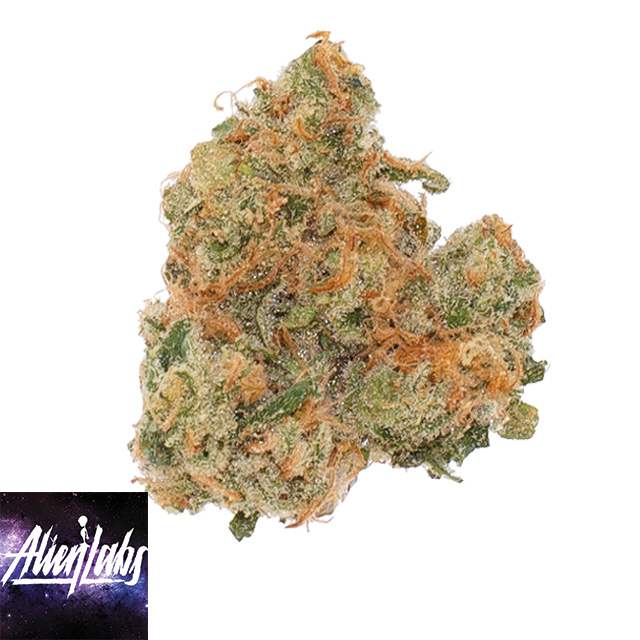 Alien Labs: Xj-13