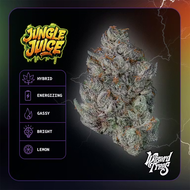 WIZARD TREES — Jungle Juice