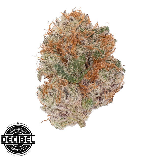 Decibel Gardens: Water Peach Sorbet