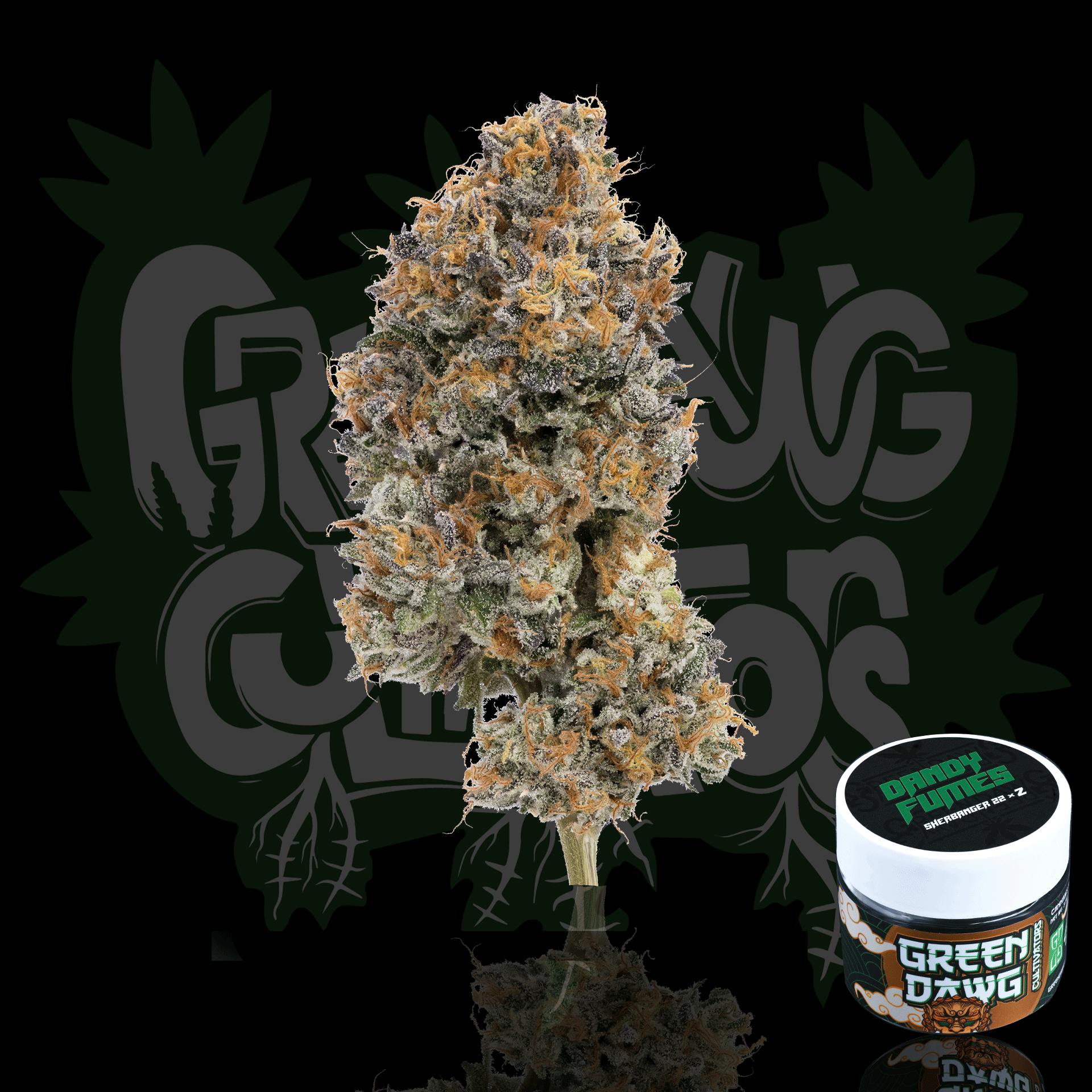 Green Dawg: Dawg Fuel