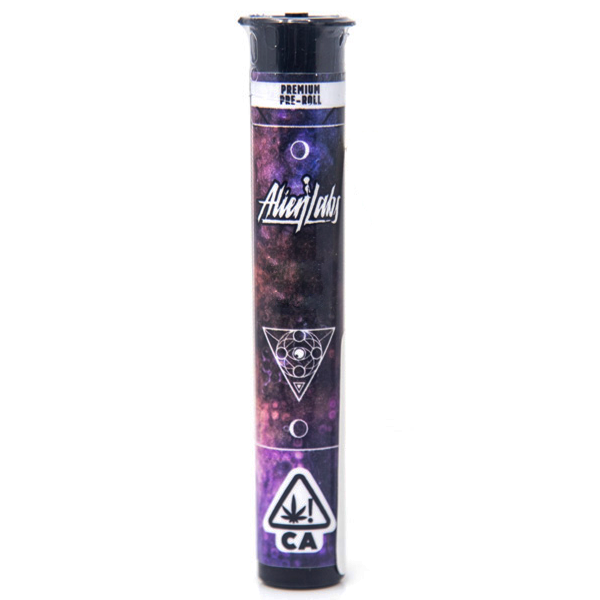 Y2K PREROLL 1G - 1 Pack