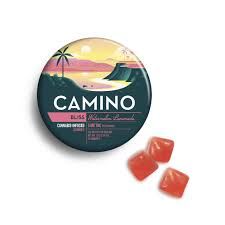 Watermelon Lemonade Gummies - 100 mg - 20 Pack