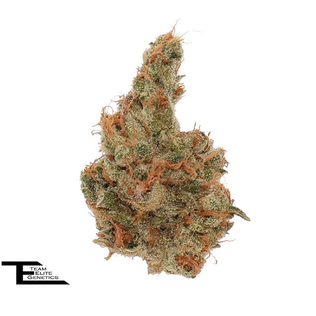 P.G.B. - 3.5 g