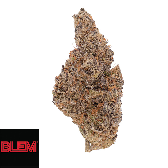 GRAYPE | GRAPE APE
