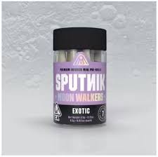 Sputnik — Exotic Moon Walker