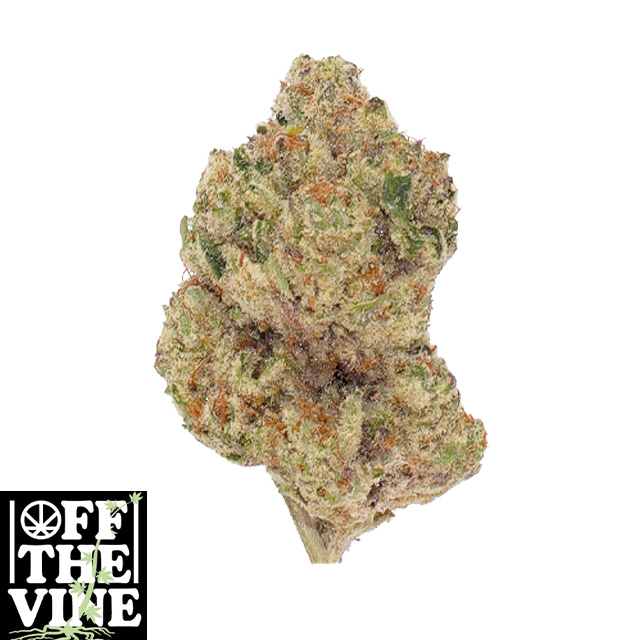 Off The Vine: GUMMY BUNS - 14 G