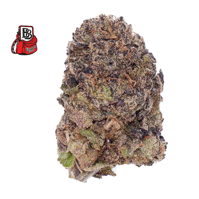 BADDIES RUN NY 3.5G