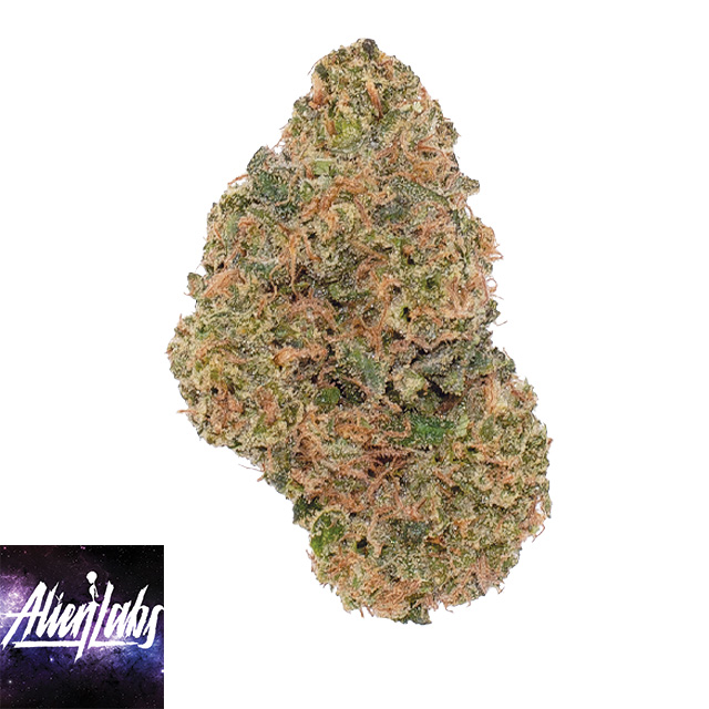 Alien Labs: BK Satellite