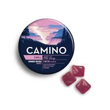 Wild Berry Gummies - 100 mg - 20 Pack