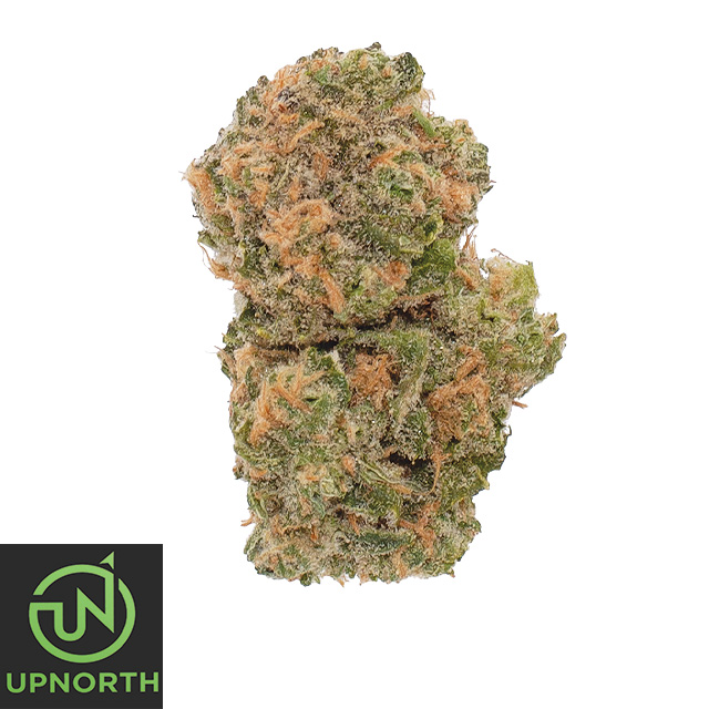 UpNorth: Blue Dream