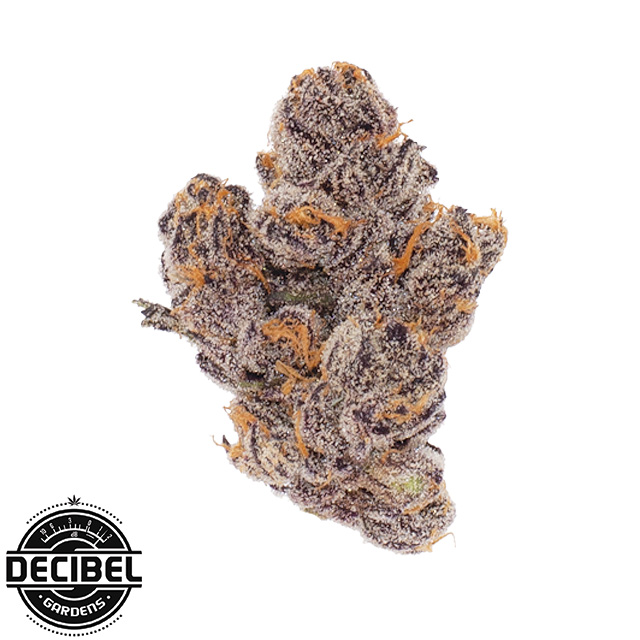 Decibel Gardens — Cosmic Banana