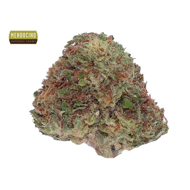 Mendocino Natural Farms: Jack Herer
