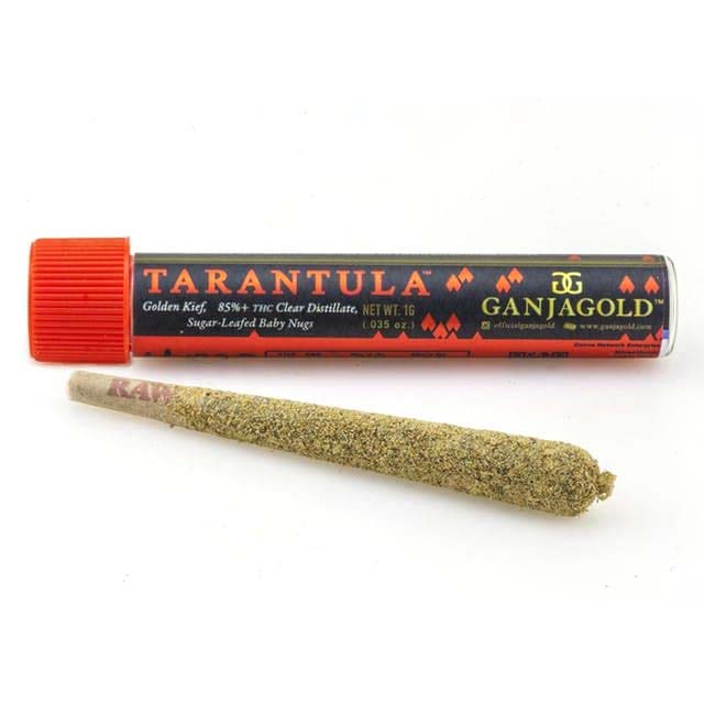 GUAVA RUNTZ INFUSED PREROLL - RED TARANTULA 1.2G - 1 Pack