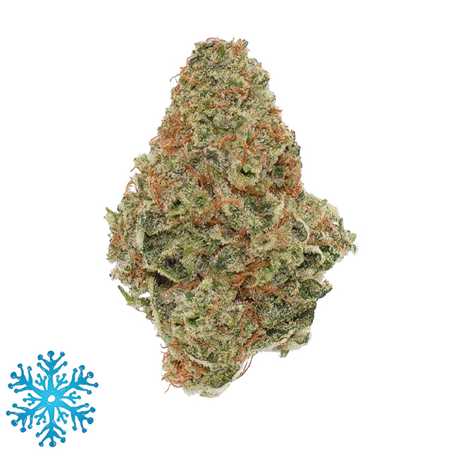 Animal X-Ing - 3.5 g