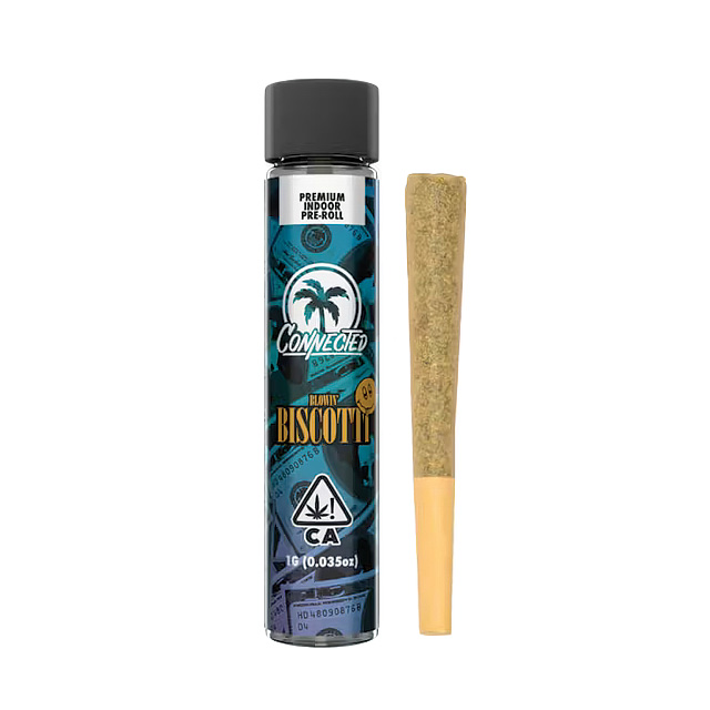 Connected — Biscotti