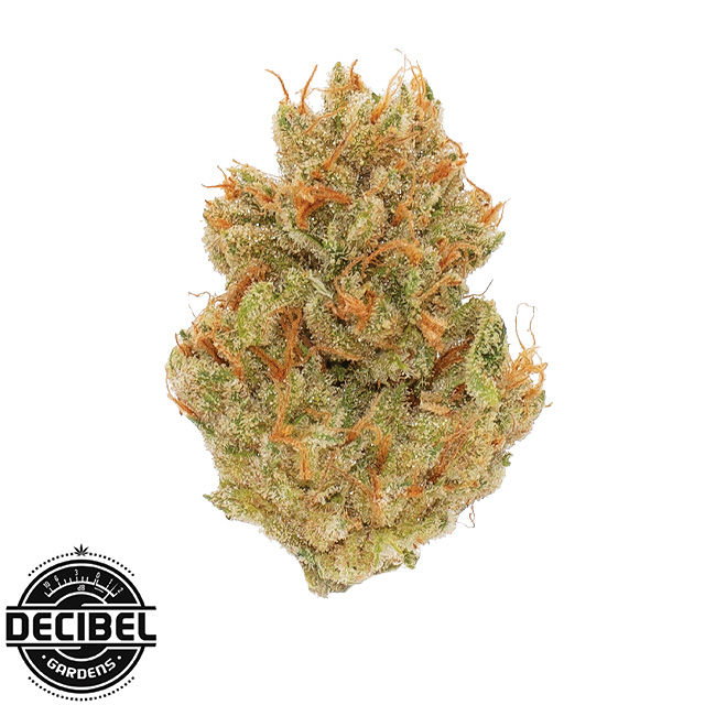 Decibel Gardens: Grape Jet Fuel
