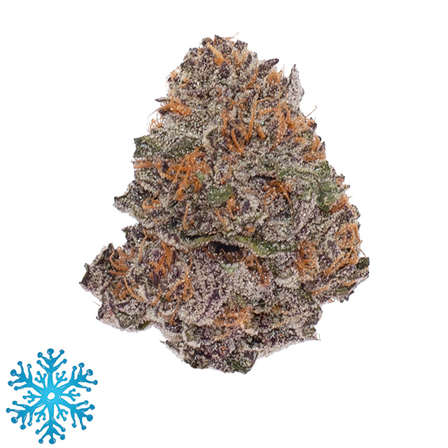 SNOW TILL ORGANICS — Barney S Bakery
