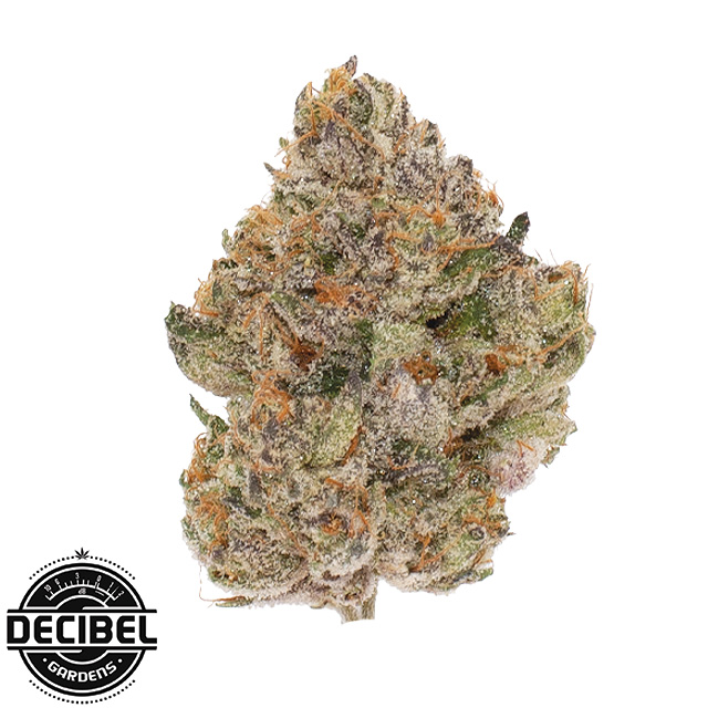 Decibel Gardens — Omerta OG
