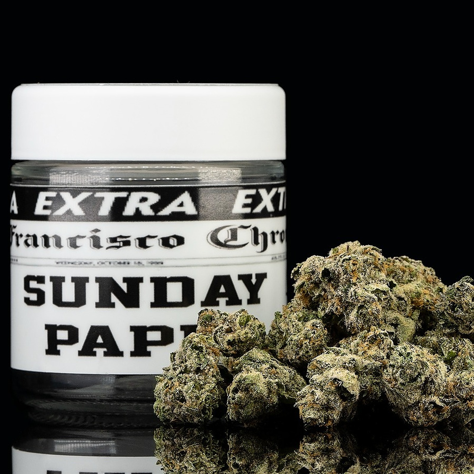 Turtle Pie: Sunday Paper