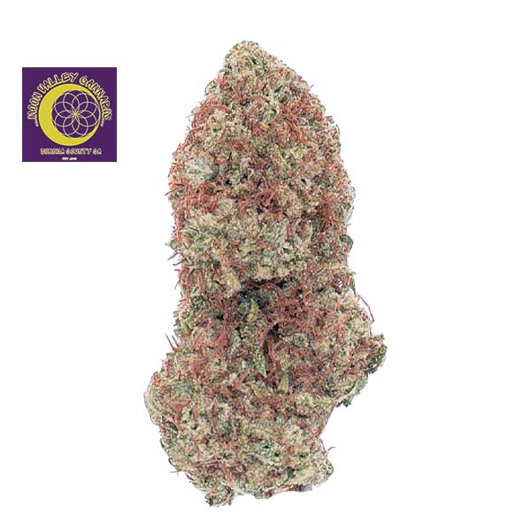 GORILLA DOG #8 3.5G - 3.5 GRAMS