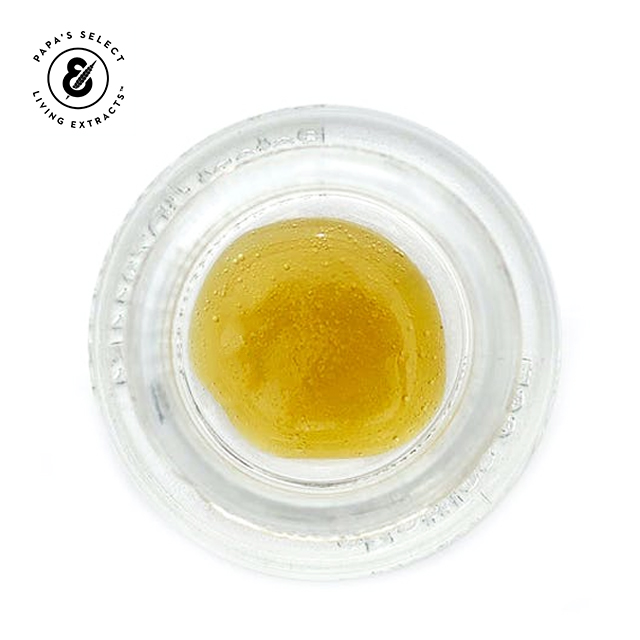 GARLIC COOKIES LIVE ROSIN 1G - 1 GRAMS
