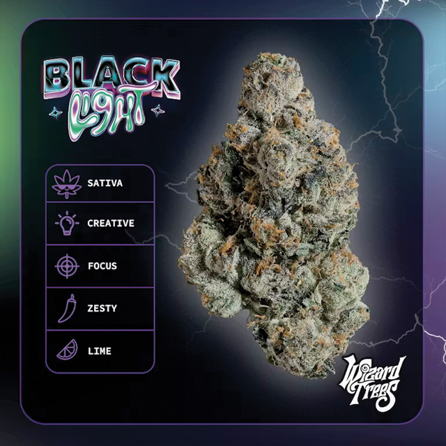 WIZARD TREES: Black Light