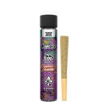 RAINBOW SHERBERT #11 PREROLL 1G - 1 Pack