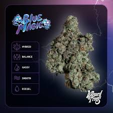 WIZARD TREES: Blue Magic