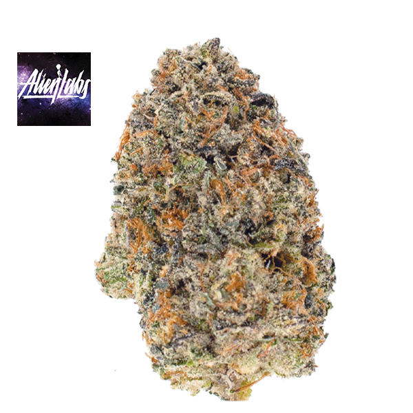 BAKLAVA - 3.5 g