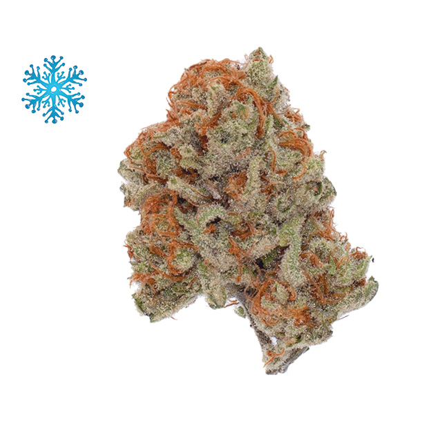 SNOW TILL ORGANICS — Gouda