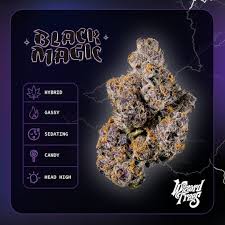 WIZARD TREES — Black Magic